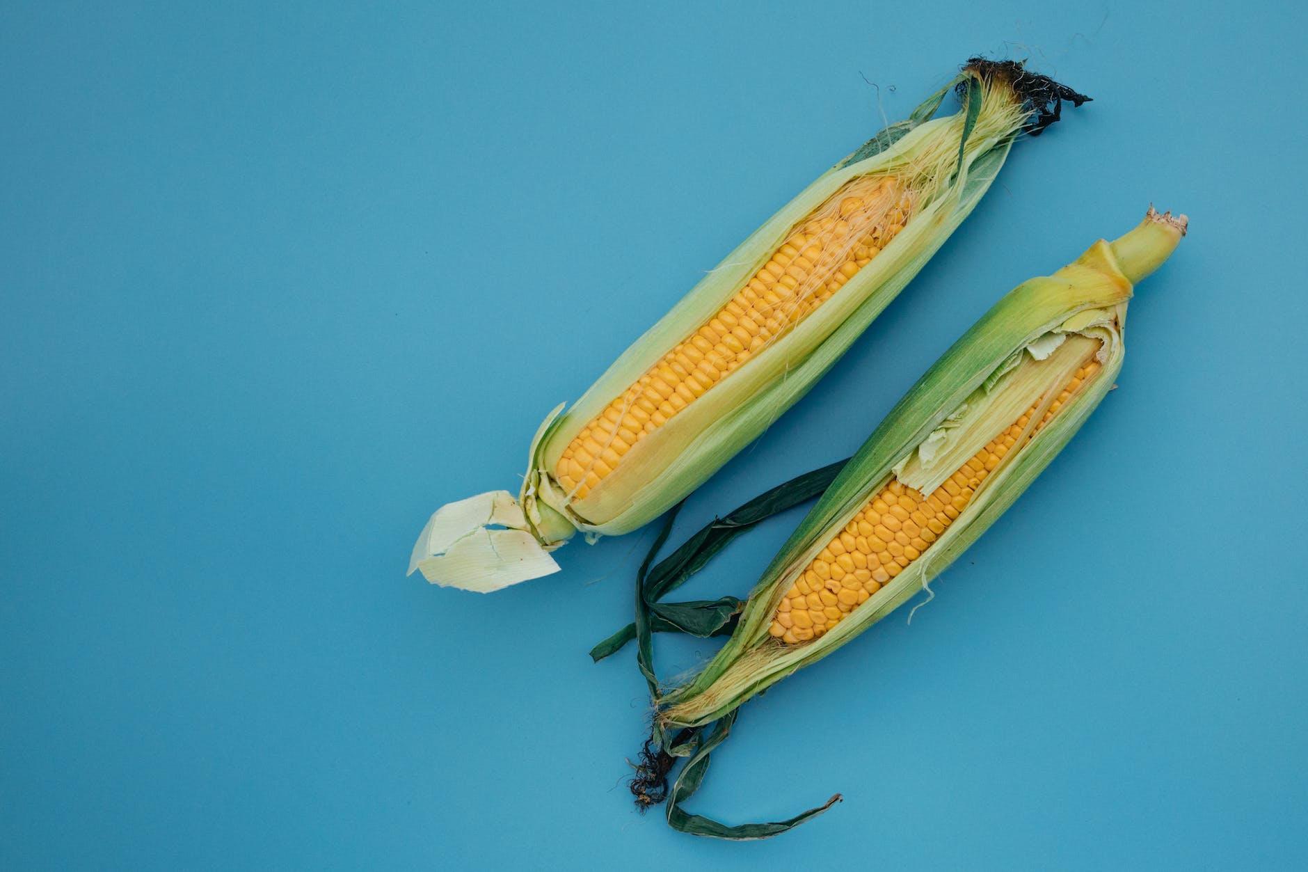 corns on blue surface