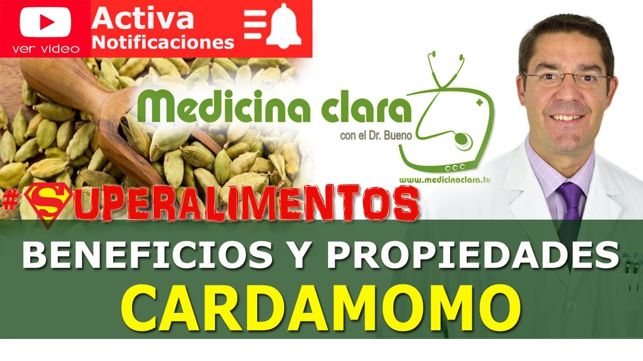 Descubre las mágicas propiedades del cardamomo en tu salud