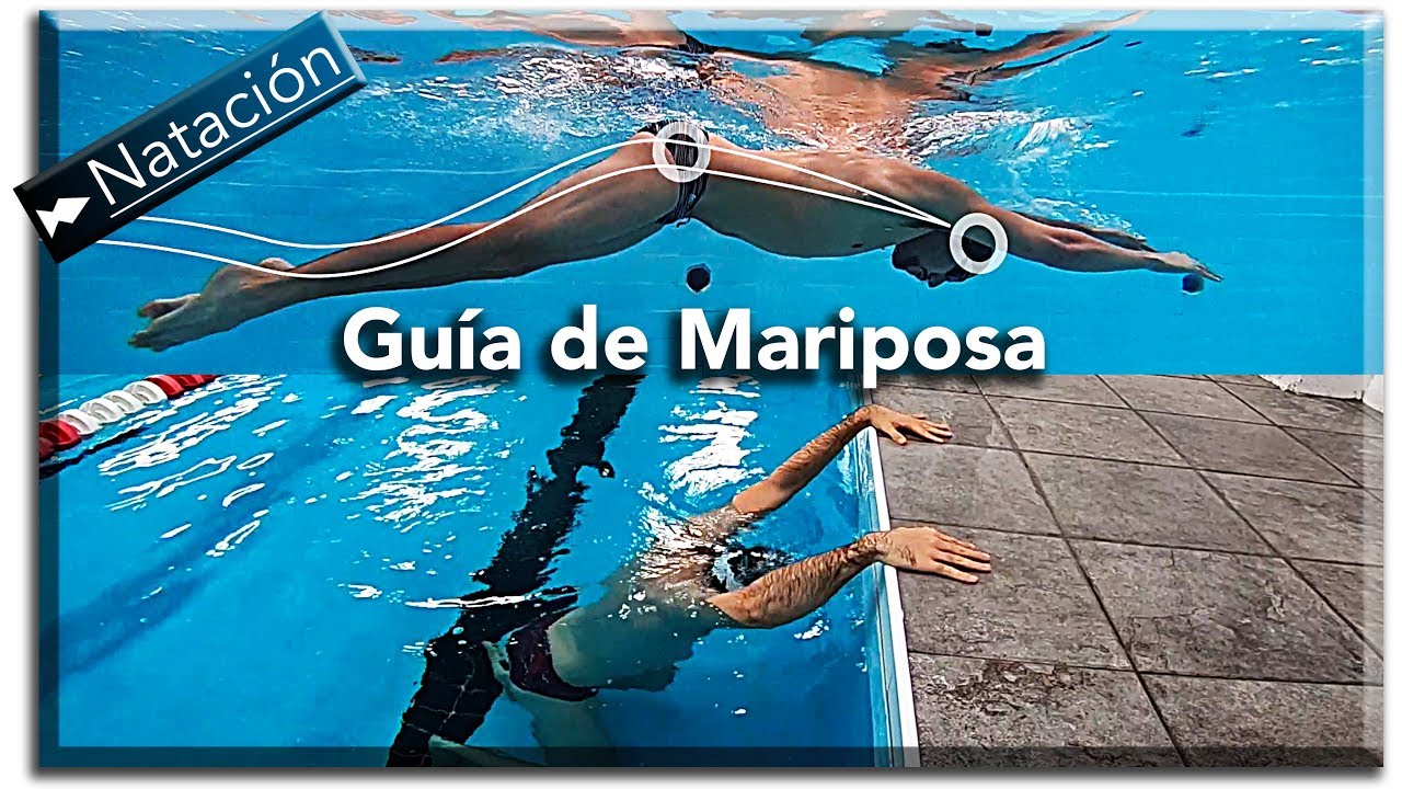 Descubre los imprescindibles ejercicios mariposa para mejorar tu natación 🏊‍♀️🦋 #ejerciciosmariposanatacion