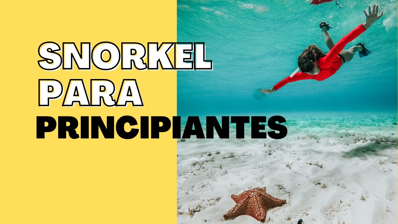 Descubre qué necesitas para hacer snorkel en tu próximo viaje #SnorkelEnVacaciones