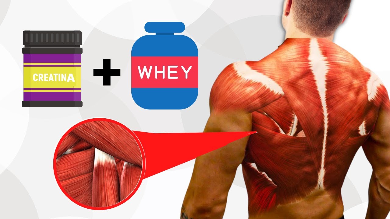 Potencia tu entrenamiento combinando creatina y proteína
