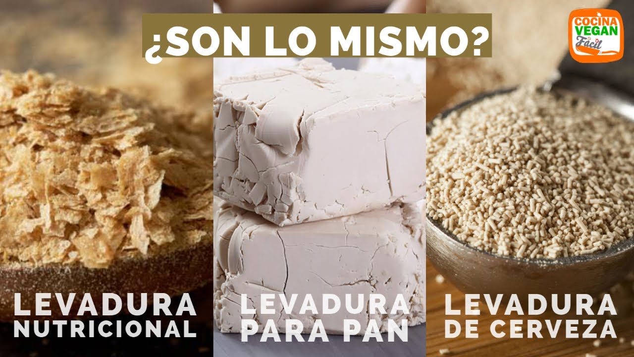 Añade sabor y nutrientes a tu pan con levadura de cerveza