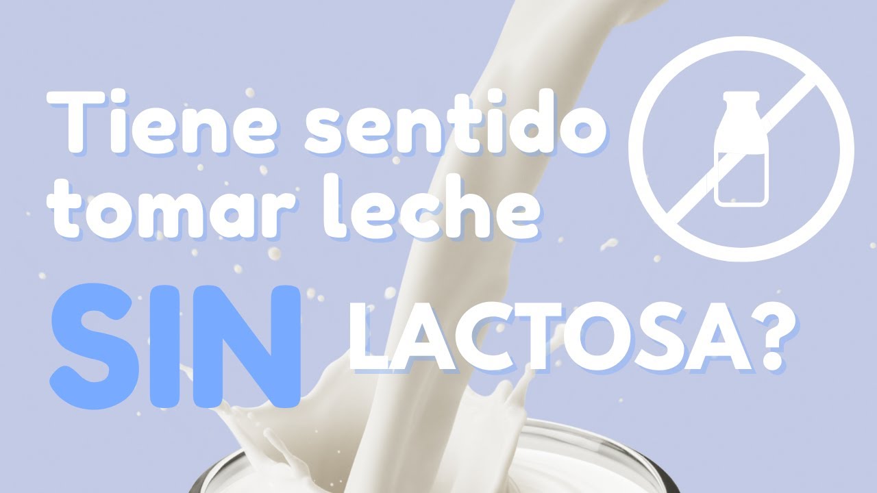 Descubre las 10 mejores leches sin lactosa del mercado