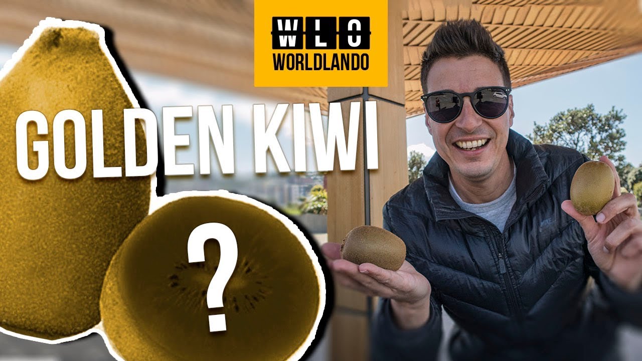Las sorprendentes propiedades del kiwi gold: ¡Descubre sus beneficios!