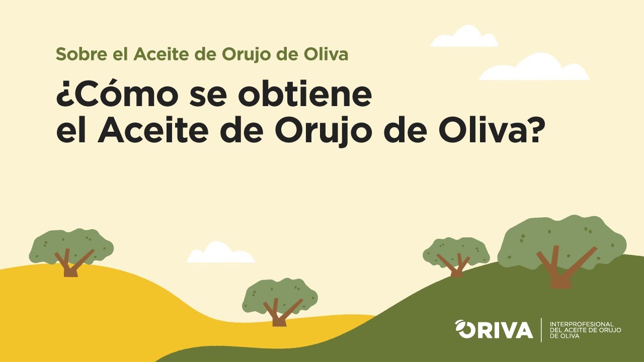 Aprende a elaborar aceite de orujo de oliva en casa en pocos pasos