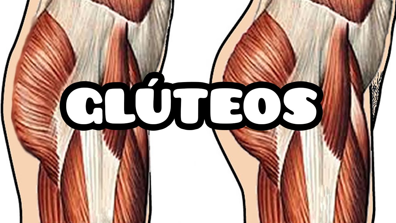 Cuidado! ¿Sabías que puedes romper el músculo del glúteo?