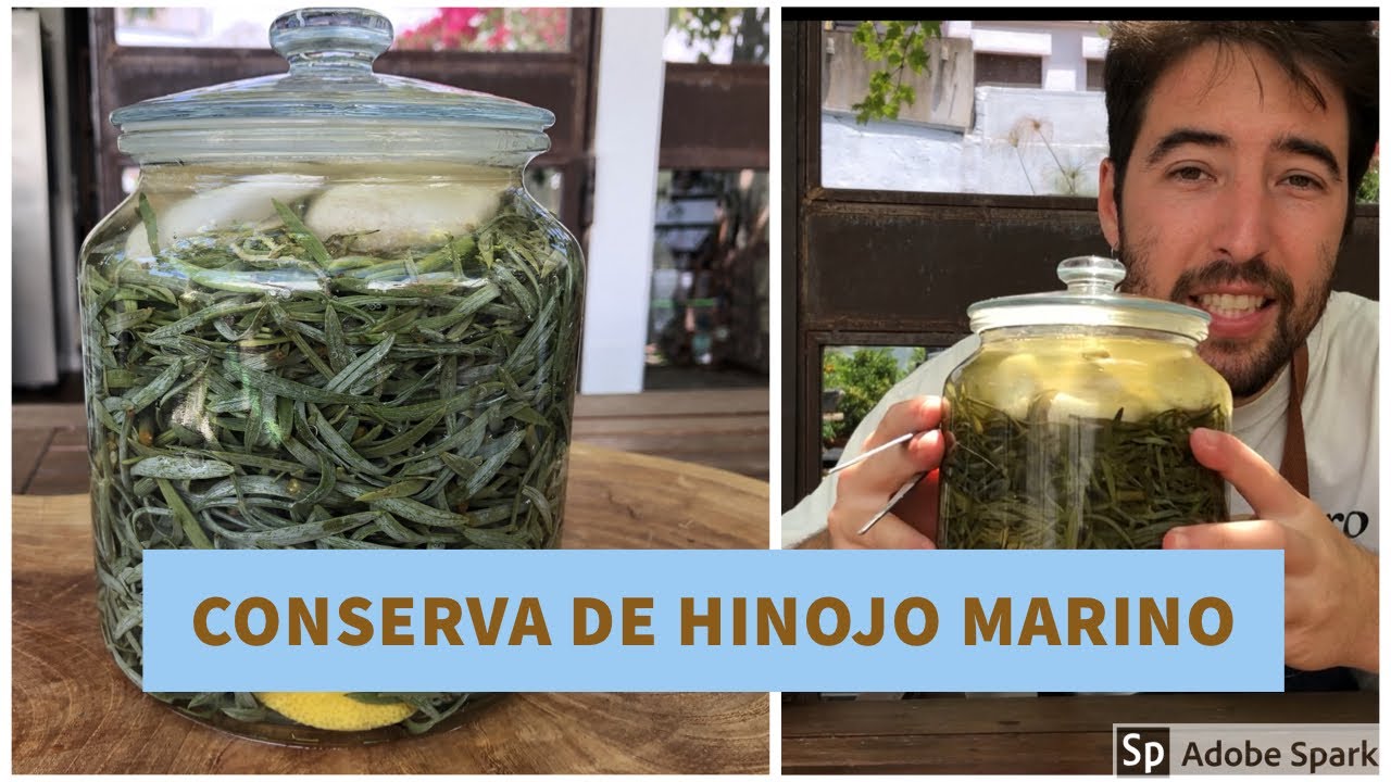 Descubre 5 deliciosas recetas con hinojo marino para sorprender a tus invitados