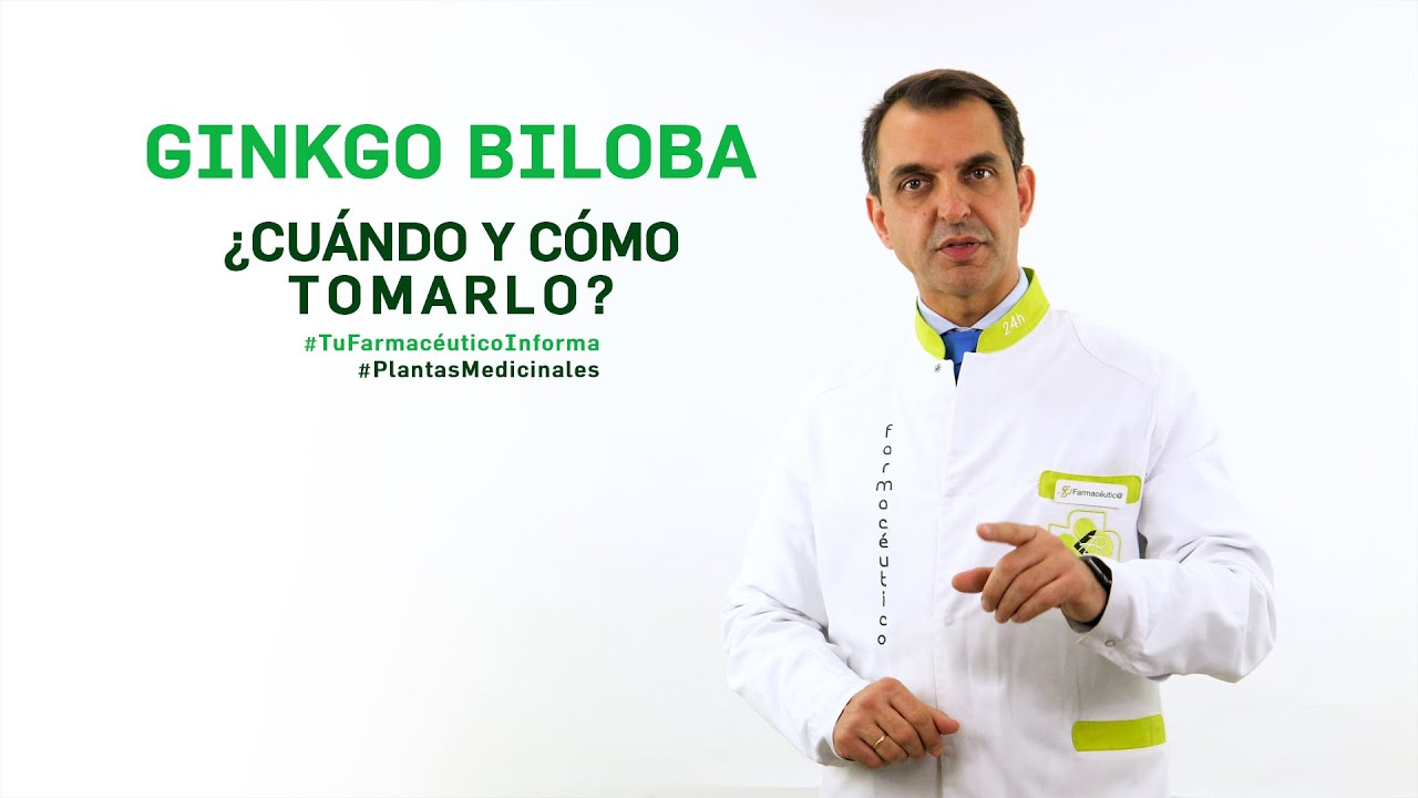 Aprende cómo secar hojas de ginkgo biloba: Consejos prácticos