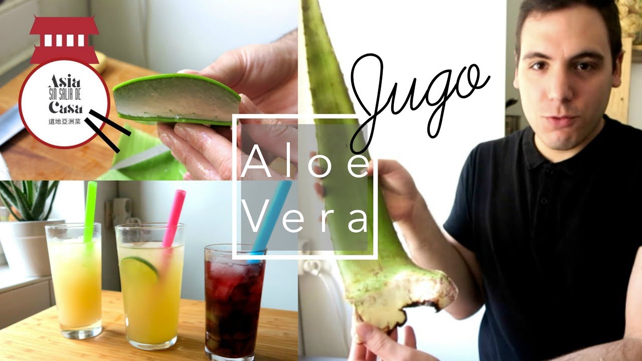 Aprovecha los beneficios de la Aloe Vera y Fibra en Mercadona