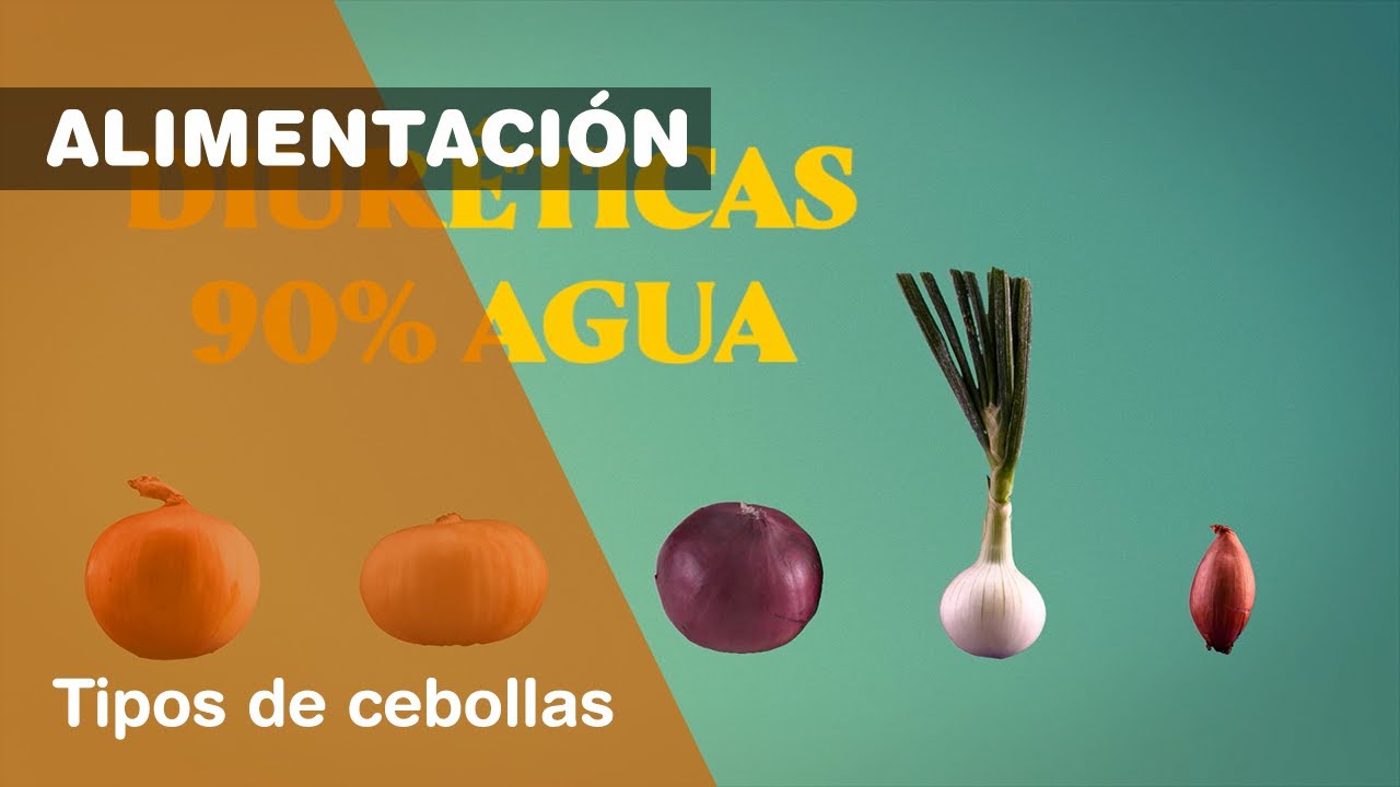 Descubre las deliciosas cebolletas de Mercadona para darle un toque especial a tus platos