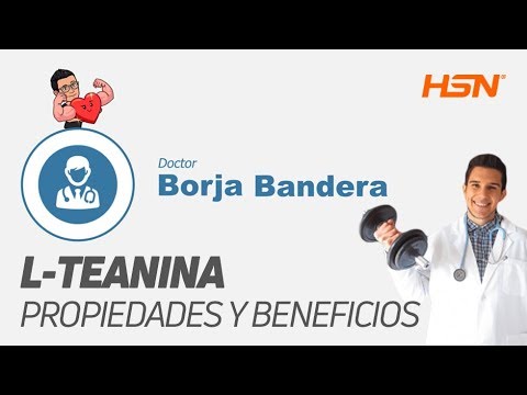 Teanina: Beneficios y Precauciones de la Sorprendente Propiedad en 2021