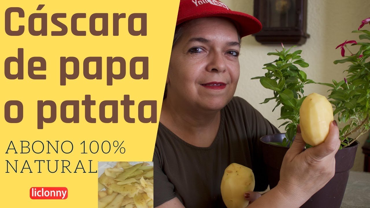 Cáscara de patata: el increíble fertilizante natural para tus plantas