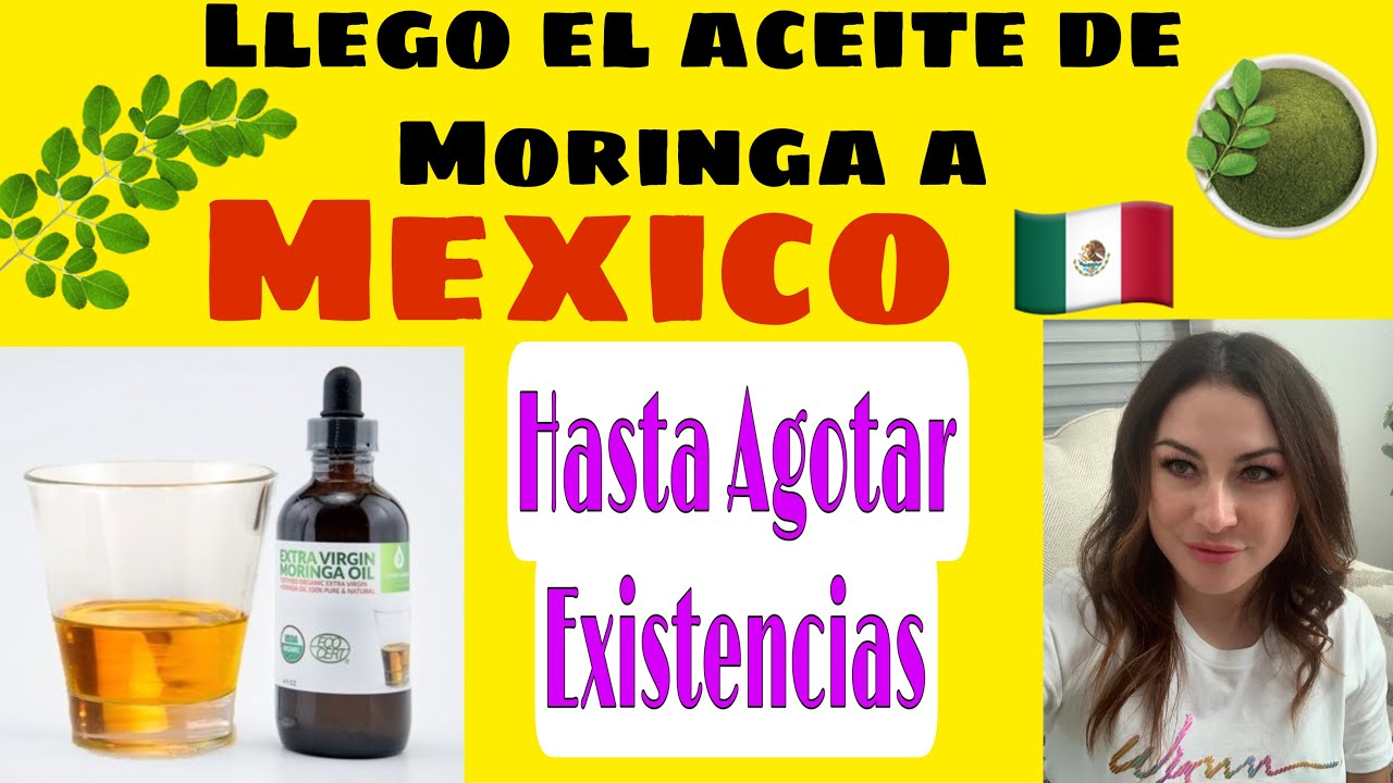 Descubre el efecto vigorizante del té de moringa en Mercadona.