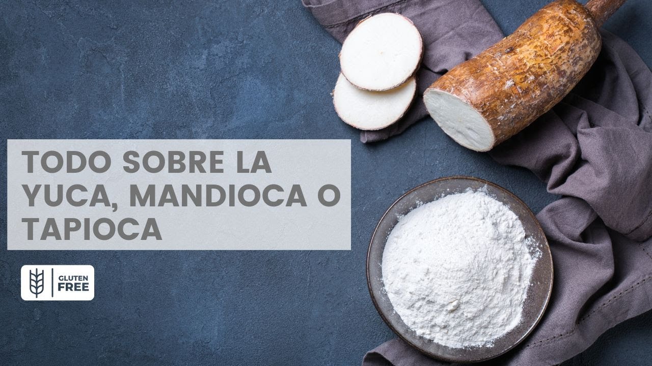 Descubre la diferencia: Almidón vs. harina de yuca en 70 caracteres