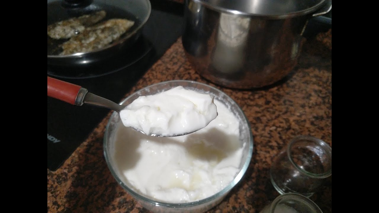 Descubre los beneficios de los yogures con lactobacillus: ¡cuida tu salud de manera deliciosa!