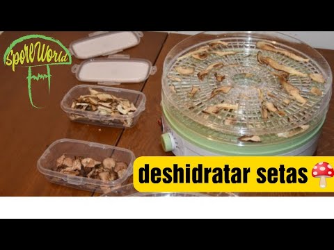 Lidl sorprende con deliciosos boletus deshidratados de alta calidad