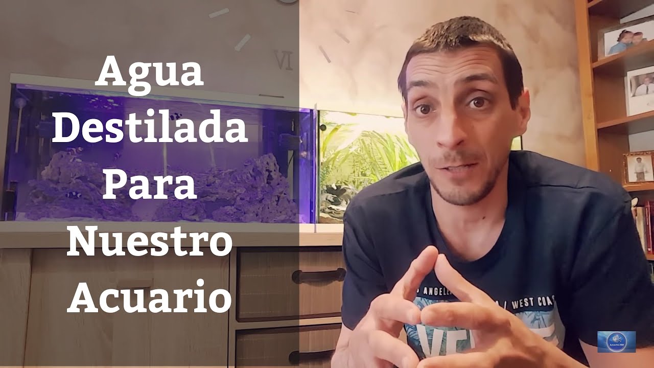 Aguas purificadas en Mercadona: ¿Es su pH óptimo para ti?