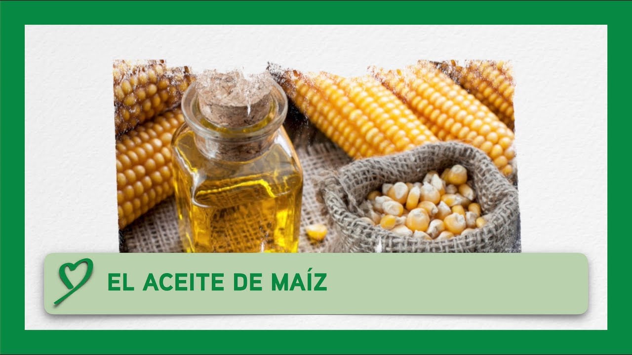 Descubre las múltiples aplicaciones del aceite de maíz en cocina y belleza