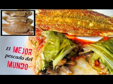 ¡Aprende a hacer deliciosas acedías a la plancha en solo 15 minutos!