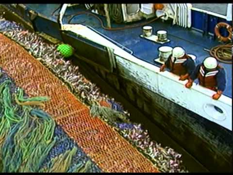 Descubre el sorprendente mundo del surimi de pescado en tan solo 70 caracteres