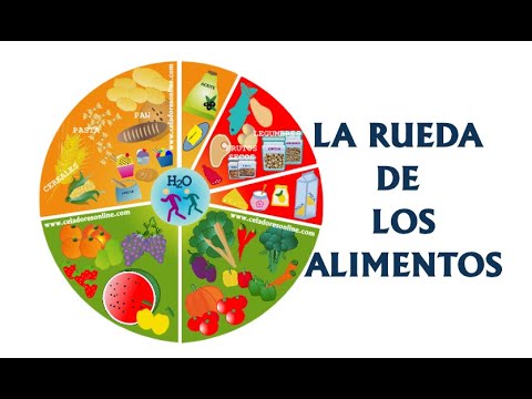 Descubre la rueda de alimentos Edalnu y mejora tu dieta en 2021