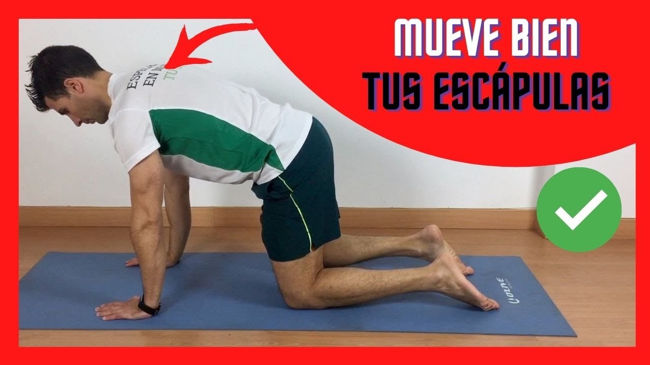 Fortalece tu cuerpo con el poderoso serrato anterior