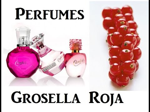 Grosellas frescas y sabrosas disponibles en Mercadona