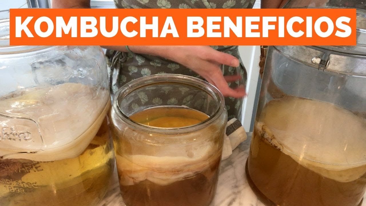 Descubre las sorprendentes propiedades del té verde kombucha