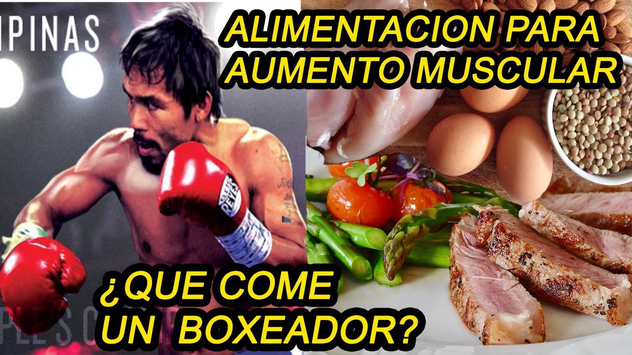 Descubre la dieta perfecta para un boxeador de élite: alimentación clave