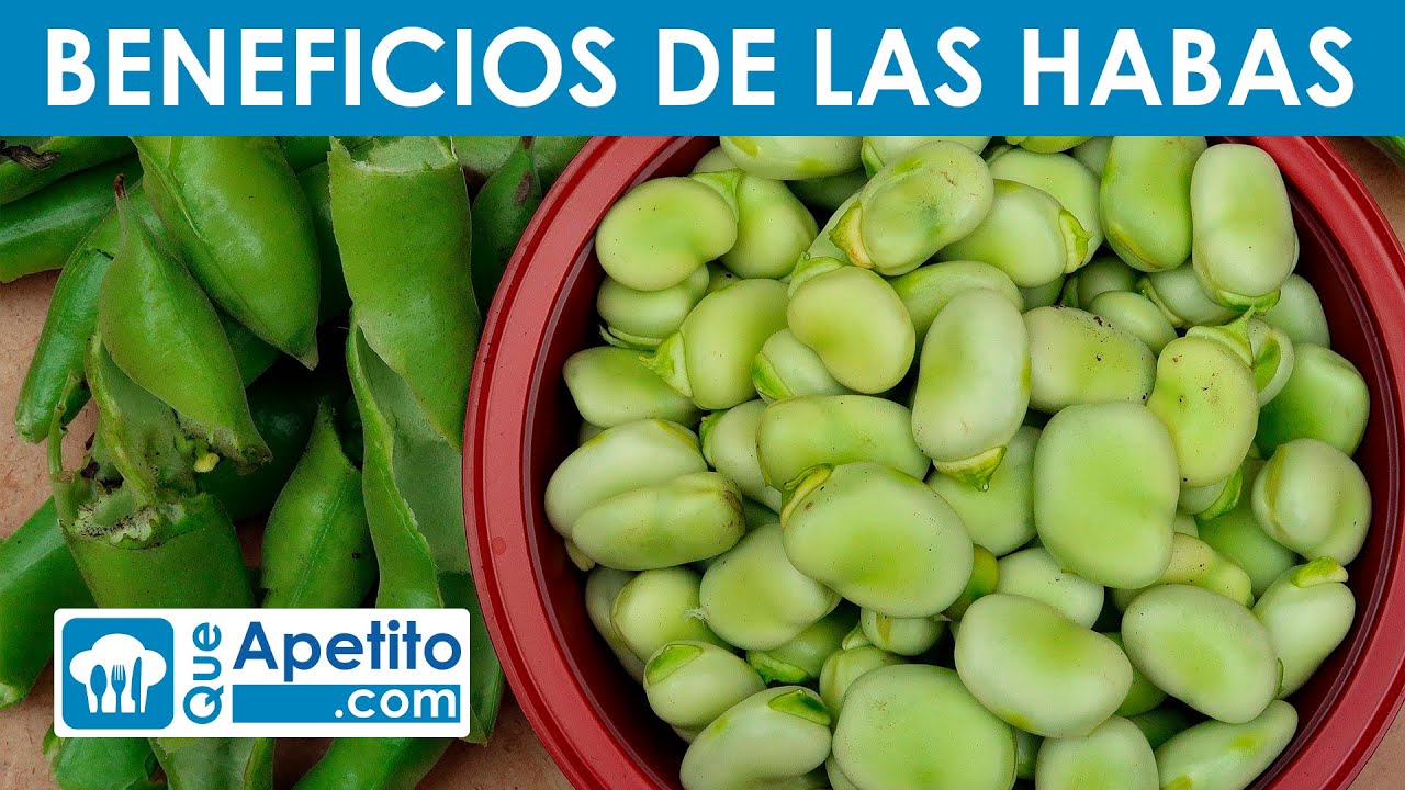 ¡Descubre las sorprendentes propiedades de las habas fritas en tu dieta diaria!