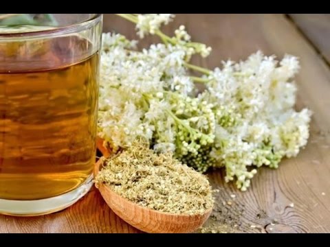 Descubre las increíbles propiedades de la ulmaria y sus contraindicaciones